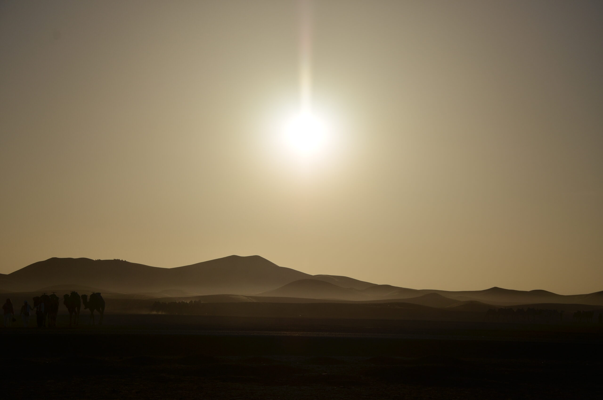 Desert photograph